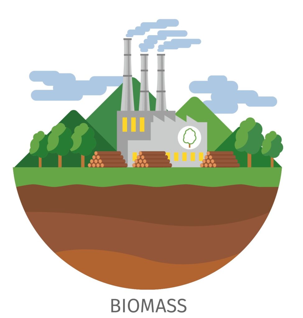 Biomass Energy